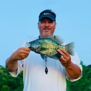 Meet your Posher, Doug